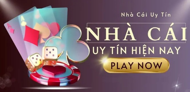 Top 8 nhà cái uy tín mà dân chơi chuyên nghiệp tin dùng